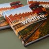WILDFIRE: General Edition - Image 2