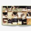 Action Bronson: Stoned Beyond Belief - Image 8