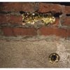 Street Craft - Image 5