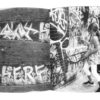 MINT & SERF Zine - Image 3