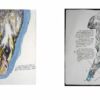 Raymond Pettibon: Here’s Your Irony Back: Political Works 1975-2013 - Image 10